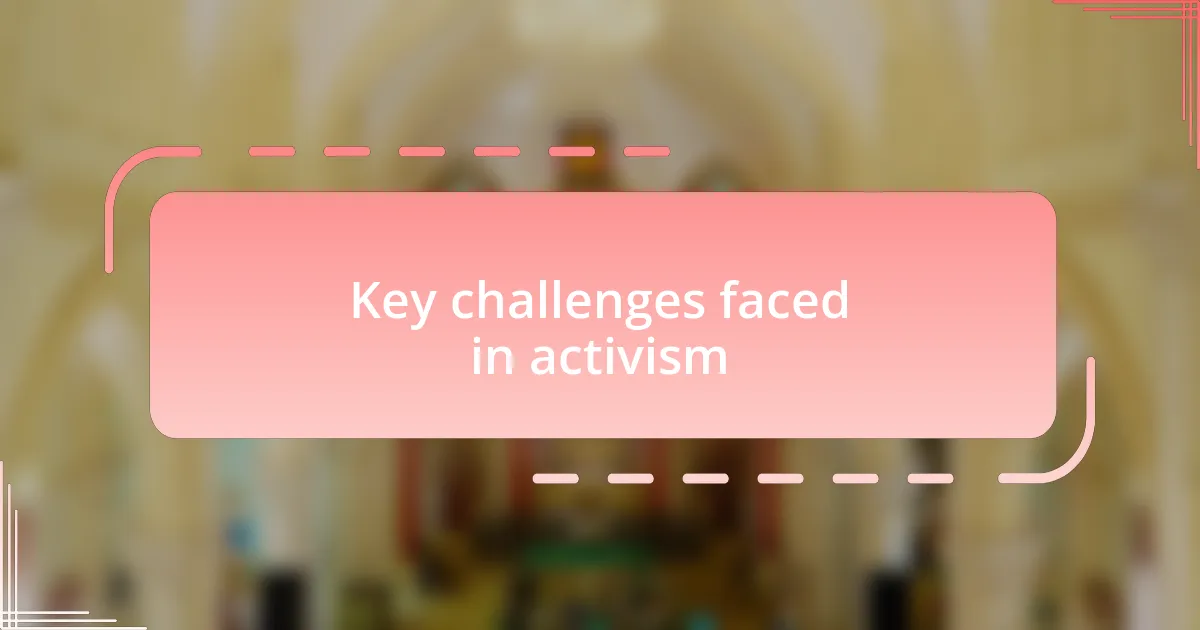 Key challenges faced in activism